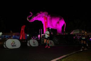 BIB: 
                            <button type="button" onclick="openModal(26543470)" class="btn btn-primary btn-sm float-right btn-popup" data-toggle="modal" data-target=".modal-high-quality">
                        <i class="fas fa-shopping-cart"></i> Add to Cart
                    </button>
                                            <button type="button" onclick="isThisMe(26543470, true)" class="btn btn-success btn-sm float-right btn-popup btn-isme hidden" data-toggle="tooltip" data-placement="bottom" title="นี่คือรูปของคุณใช่ไหม คลิกที่นี่เพื่อเอาเข้าอัลบั้ม">
                        <i class="fas fa-plus"></i> Add to album
                    </button>
                    <button type="button" onclick="isThisMe(26543470, false)" class="btn btn-warning btn-sm float-right btn-popup btn-isnotme hidden">
                        <i class="fas fa-ban"></i> Remove from album
                    </button>